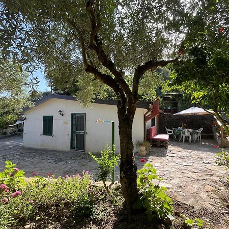 Casa Vacanze Alfano Ascea Eksteriør bilde