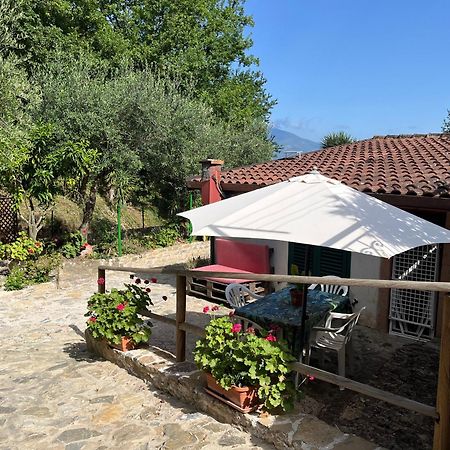 Casa Vacanze Alfano Ascea Eksteriør bilde