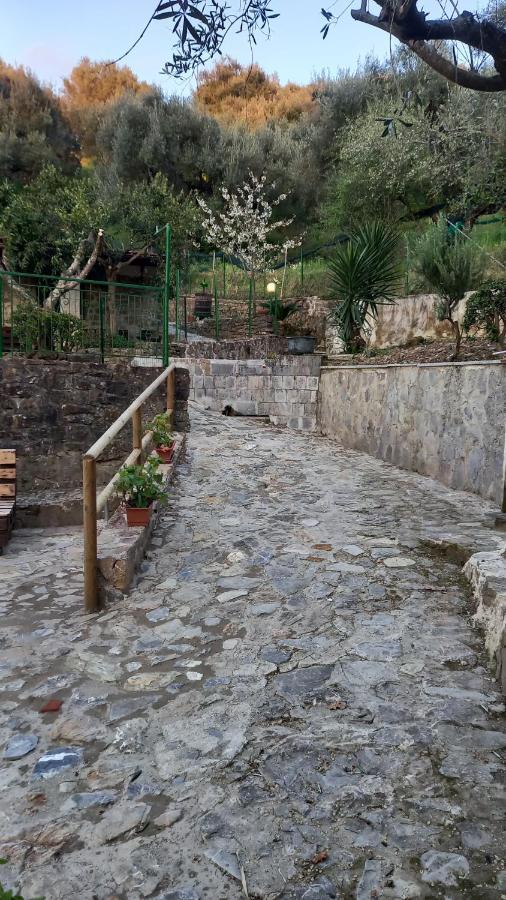 Casa Vacanze Alfano Ascea Eksteriør bilde