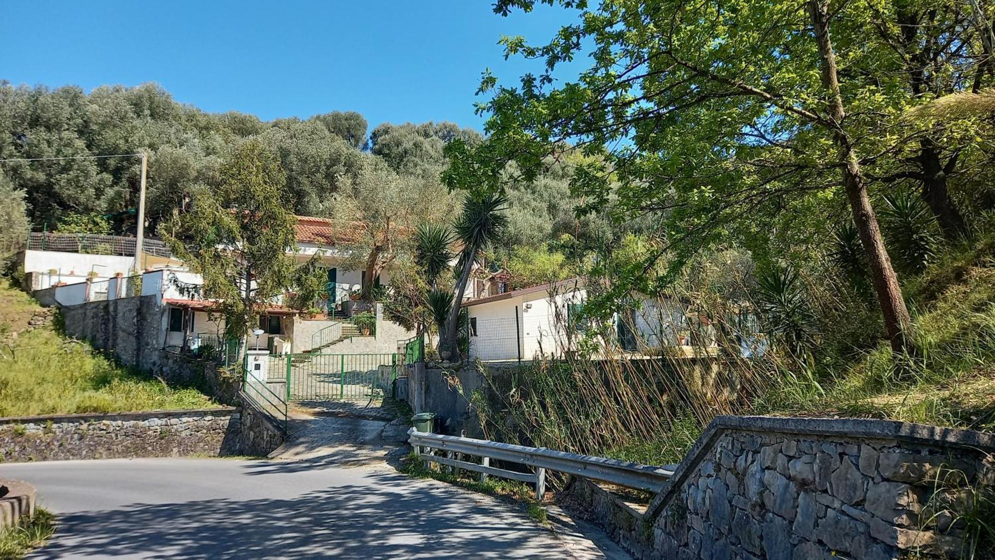 Casa Vacanze Alfano Ascea Eksteriør bilde