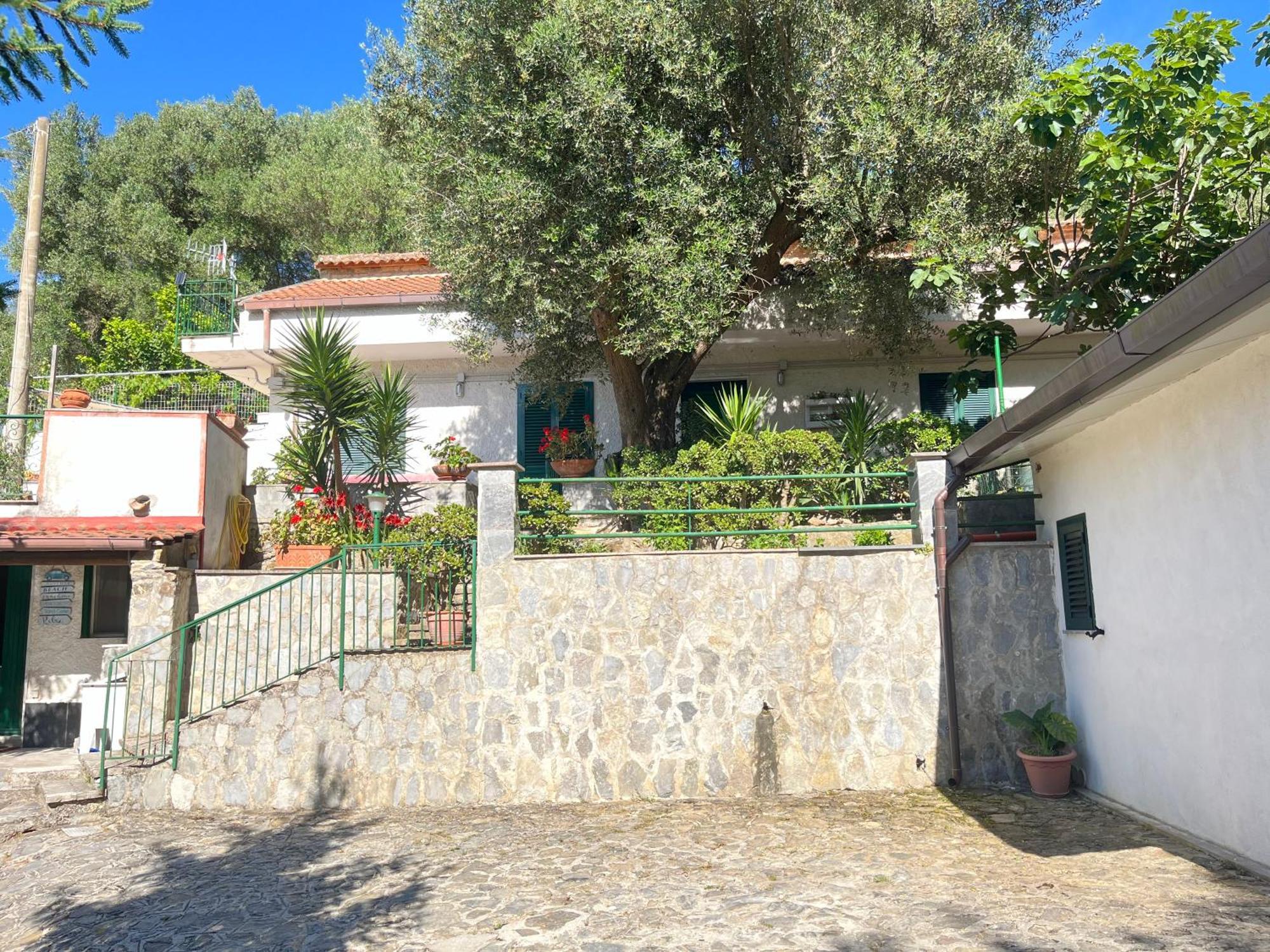 Casa Vacanze Alfano Ascea Eksteriør bilde