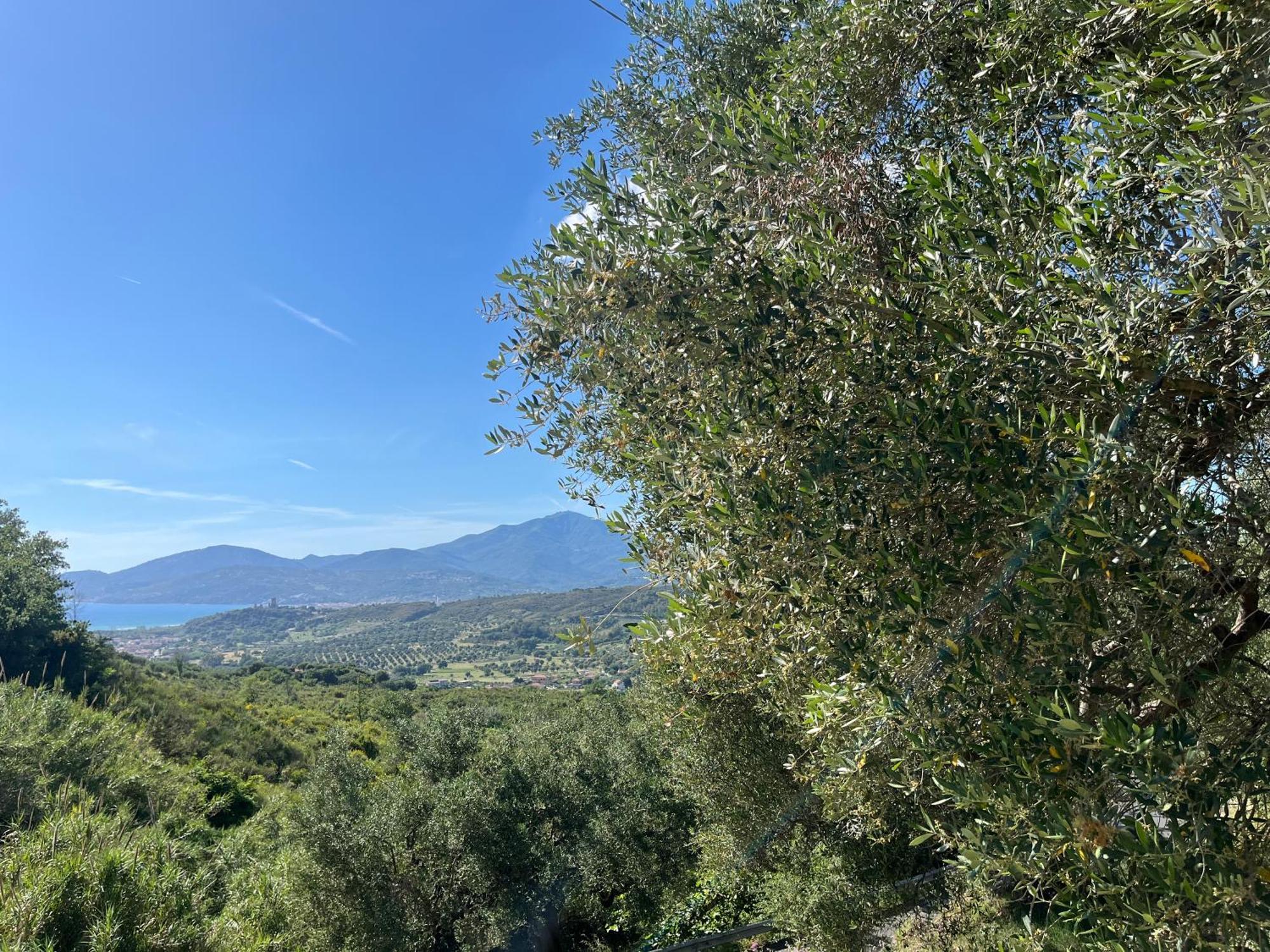 Casa Vacanze Alfano Ascea Eksteriør bilde
