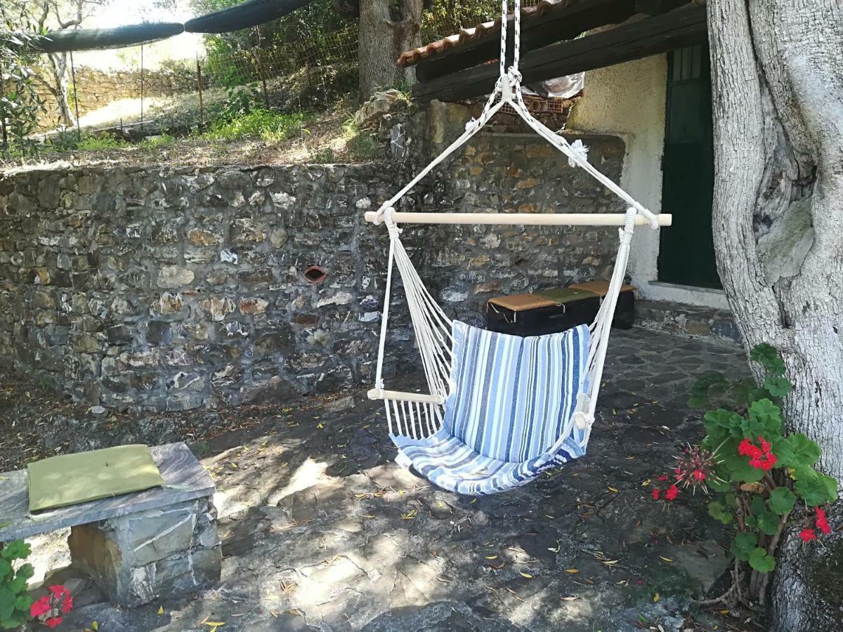 Casa Vacanze Alfano Ascea Eksteriør bilde